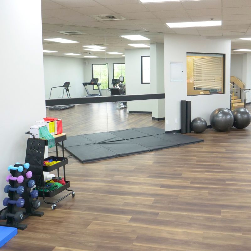 Physical Therapy